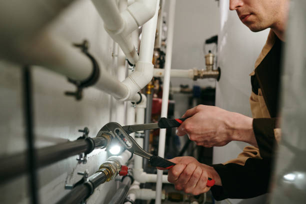 Best Plumbing Inspection Services  in Auxvasse, MO