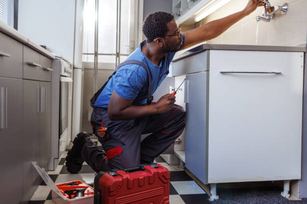 Best Local Plumber Services  in Auxvasse, MO